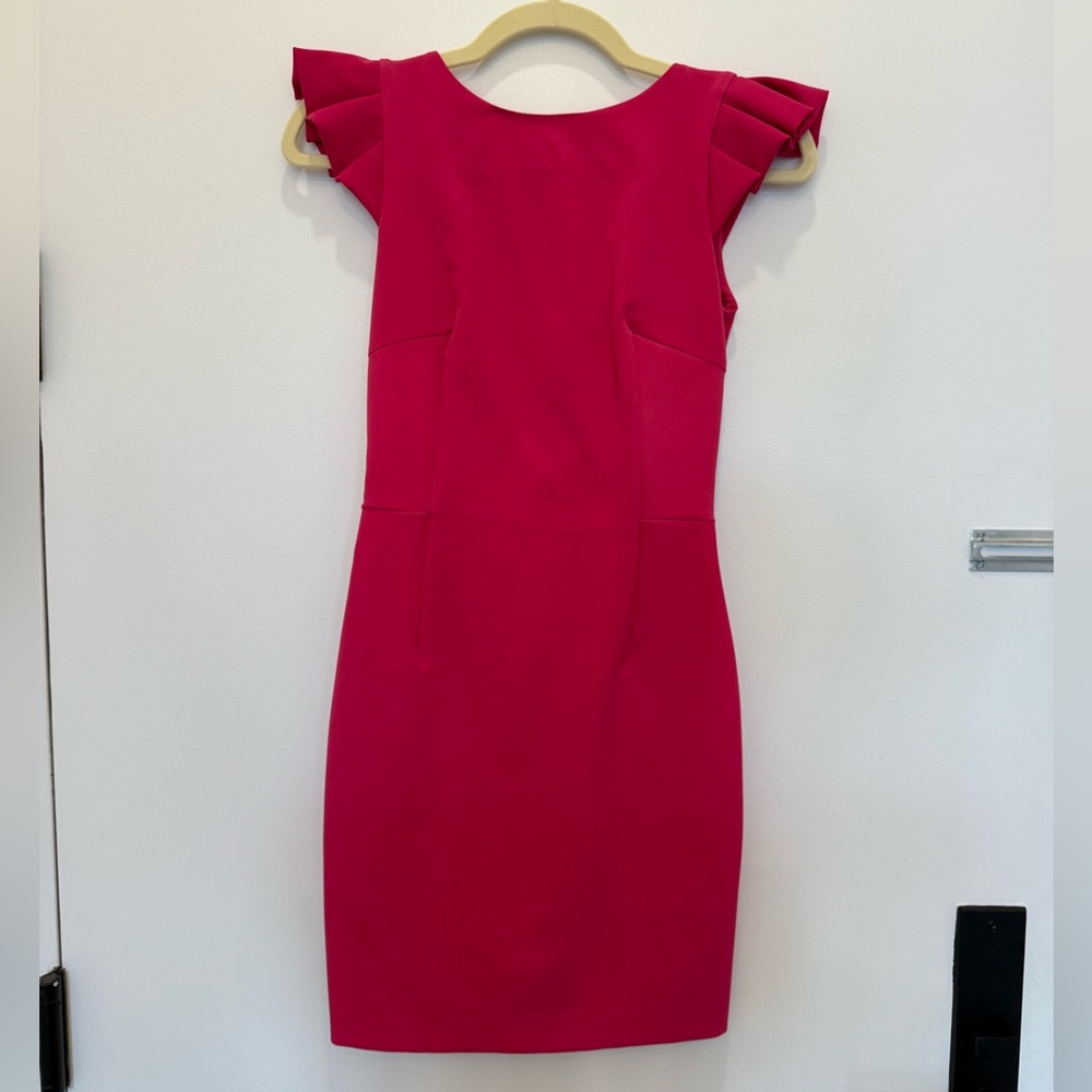 Zara Fuchsia Mini Dress